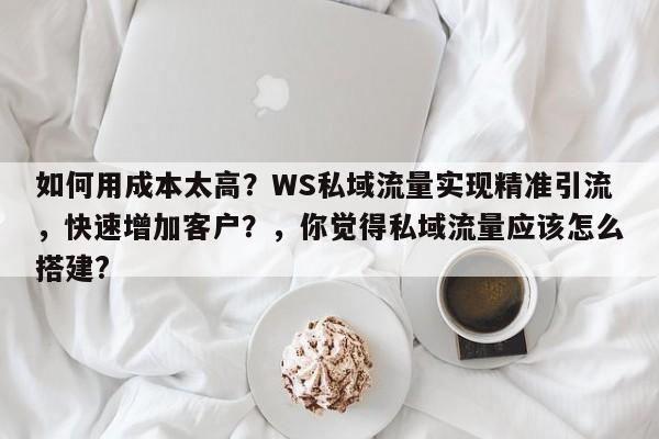 如何用成本太高？WS私域流量实现精准引流，快速增加客户？，你觉得私域流量应该怎么搭建?