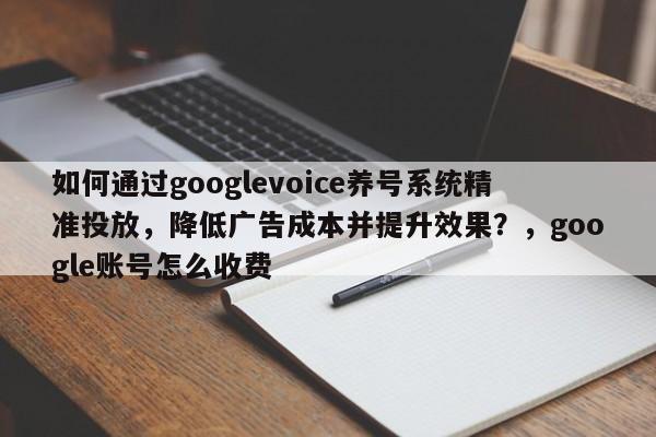 如何通过googlevoice养号系统精准投放，降低广告成本并提升效果？，google账号怎么收费