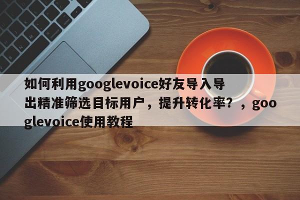 如何利用googlevoice好友导入导出精准筛选目标用户，提升转化率？，googlevoice使用教程