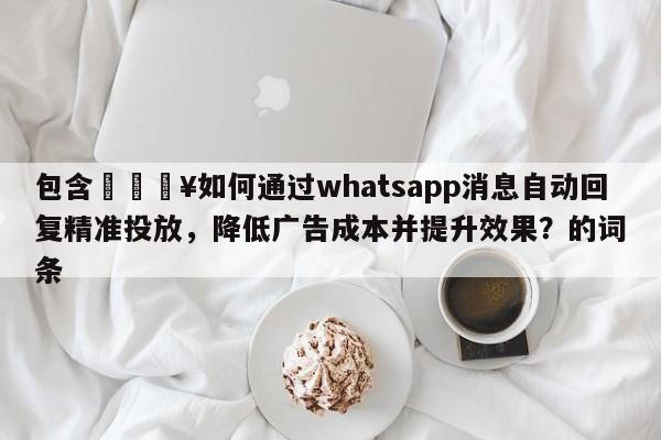 包含💥如何通过whatsapp消息自动回复精准投放，降低广告成本并提升效果？的词条