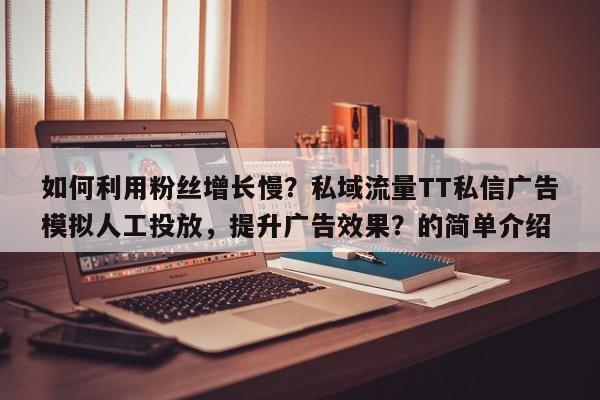 如何利用粉丝增长慢?私域流量TT私信广告模拟人工投放,提升广告效果?的简单介绍