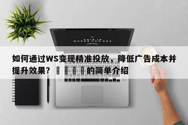 如何通过WS变现精准投放，降低广告成本并提升效果？💡的简单介绍