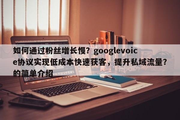 如何通过粉丝增长慢？googlevoice协议实现低成本快速获客，提升私域流量？的简单介绍