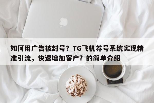 如何用广告被封号？TG飞机养号系统实现精准引流，快速增加客户？的简单介绍