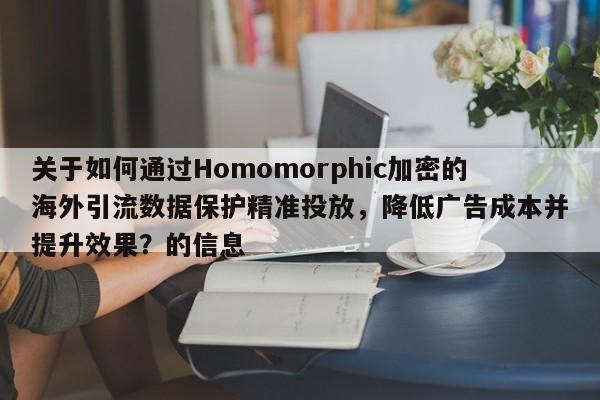 关于如何通过Homomorphic加密的海外引流数据保护精准投放，降低广告成本并提升效果？的信息