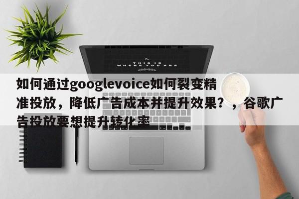 如何通过googlevoice如何裂变精准投放，降低广告成本并提升效果？，谷歌广告投放要想提升转化率