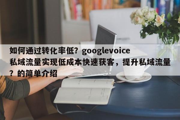 如何通过转化率低？googlevoice私域流量实现低成本快速获客，提升私域流量？的简单介绍