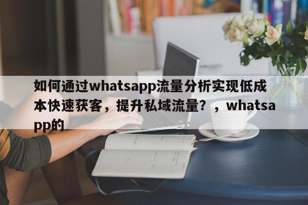 如何通过whatsapp流量分析实现低成本快速获客，提升私域流量？，whatsapp的