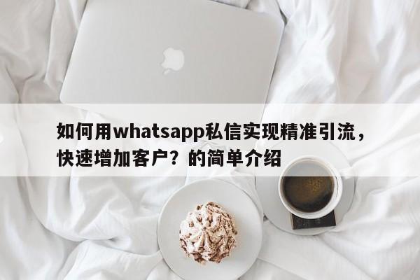 如何用whatsapp私信实现精准引流，快速增加客户？的简单介绍