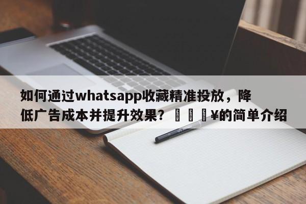如何通过whatsapp收藏精准投放，降低广告成本并提升效果？🔥的简单介绍