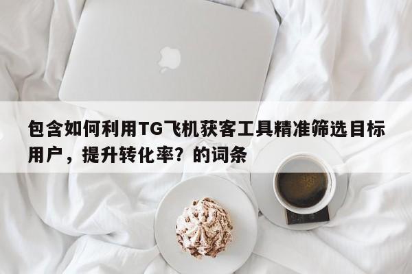 包含如何利用TG飞机获客工具精准筛选目标用户，提升转化率？的词条
