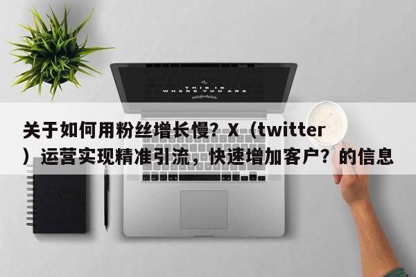 关于如何用粉丝增长慢？X（twitter）运营实现精准引流，快速增加客户？的信息