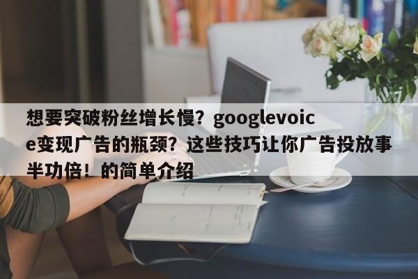 想要突破粉丝增长慢？googlevoice变现广告的瓶颈？这些技巧让你广告投放事半功倍！的简单介绍