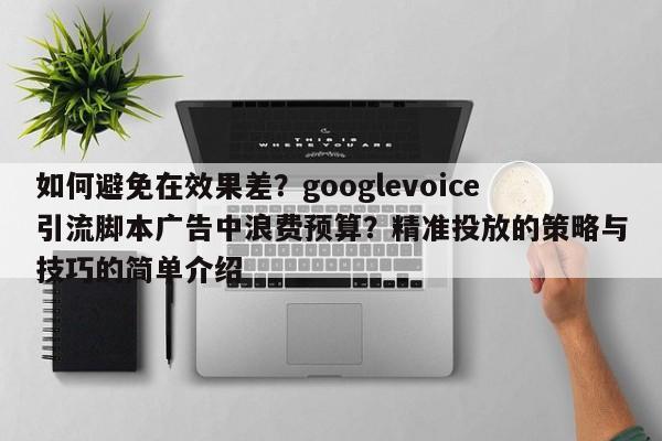 如何避免在效果差？googlevoice引流脚本广告中浪费预算？精准投放的策略与技巧的简单介绍