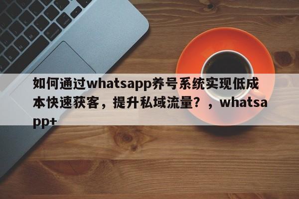 如何通过whatsapp养号系统实现低成本快速获客，提升私域流量？，whatsapp+