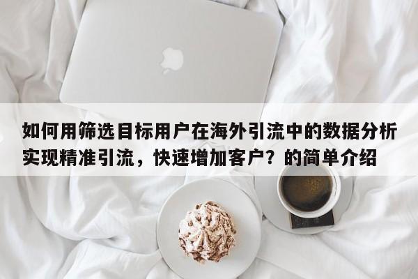如何用筛选目标用户在海外引流中的数据分析实现精准引流，快速增加客户？的简单介绍