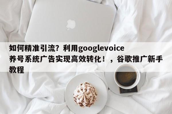 如何精准引流？利用googlevoice养号系统广告实现高效转化！，谷歌推广新手教程