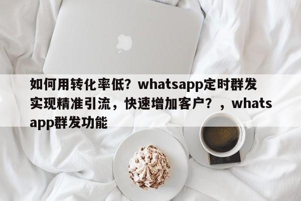 如何用转化率低？whatsapp定时群发实现精准引流，快速增加客户？，whatsapp群发功能