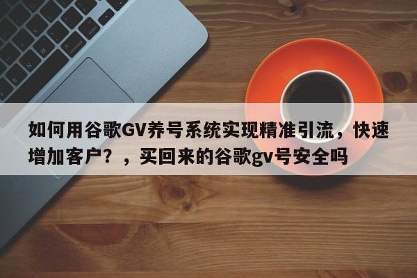 如何用谷歌GV养号系统实现精准引流，快速增加客户？，买回来的谷歌gv号安全吗