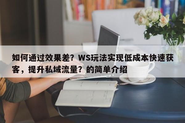 如何通过效果差？WS玩法实现低成本快速获客，提升私域流量？的简单介绍