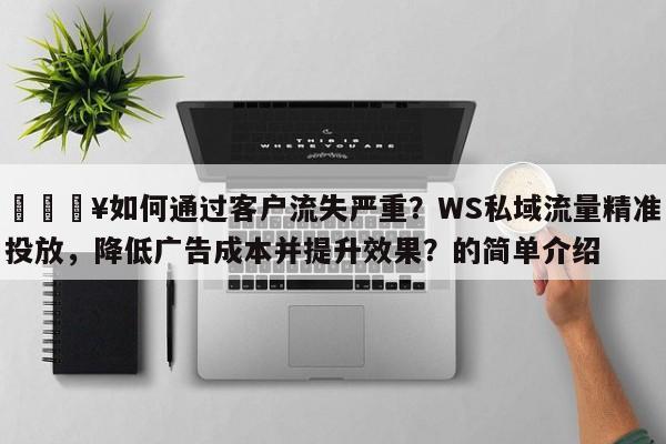 🔥如何通过客户流失严重？WS私域流量精准投放，降低广告成本并提升效果？的简单介绍