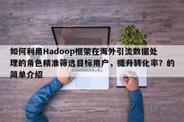 如何利用Hadoop框架在海外引流数据处理的角色精准筛选目标用户，提升转化率？的简单介绍