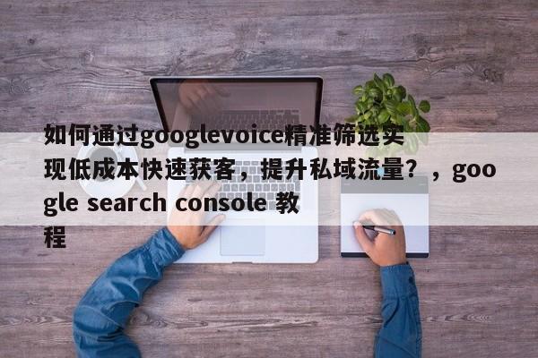 如何通过googlevoice精准筛选实现低成本快速获客，提升私域流量？，google search console 教程