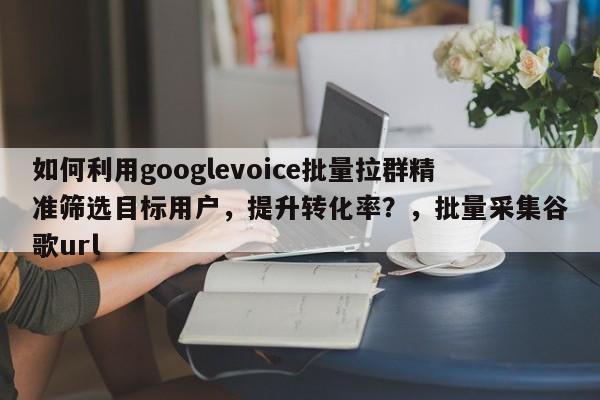 如何利用googlevoice批量拉群精准筛选目标用户，提升转化率？，批量采集谷歌url