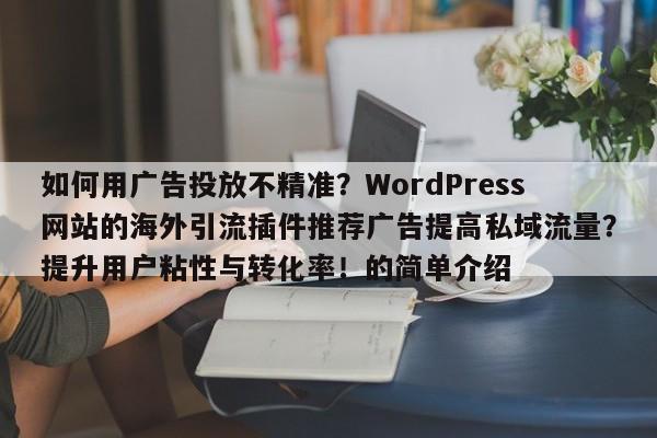 如何用广告投放不精准？WordPress网站的海外引流插件推荐广告提高私域流量？提升用户粘性与转化率！的简单介绍