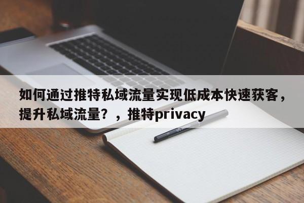 如何通过推特私域流量实现低成本快速获客，提升私域流量？，推特privacy