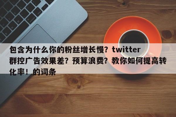 包含为什么你的粉丝增长慢？twitter群控广告效果差？预算浪费？教你如何提高转化率！的词条