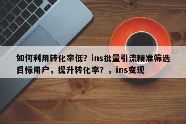 如何利用转化率低？ins批量引流精准筛选目标用户，提升转化率？，ins变现