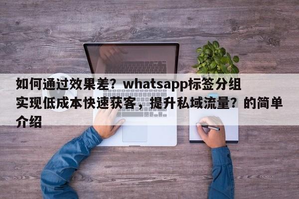 如何通过效果差？whatsapp标签分组实现低成本快速获客，提升私域流量？的简单介绍