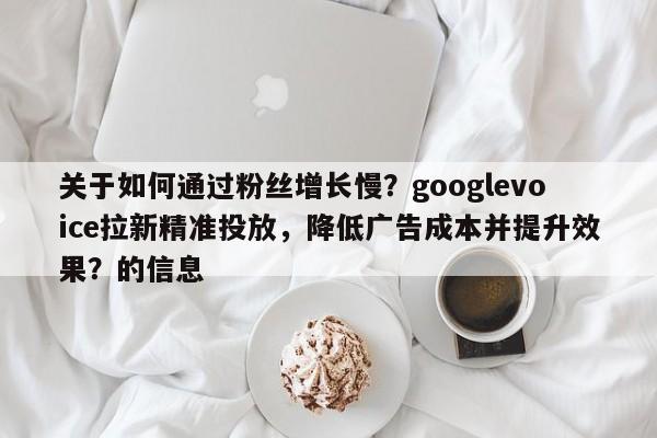 关于如何通过粉丝增长慢？googlevoice拉新精准投放，降低广告成本并提升效果？的信息
