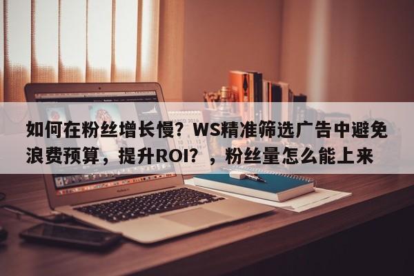 如何在粉丝增长慢？WS精准筛选广告中避免浪费预算，提升ROI？，粉丝量怎么能上来
