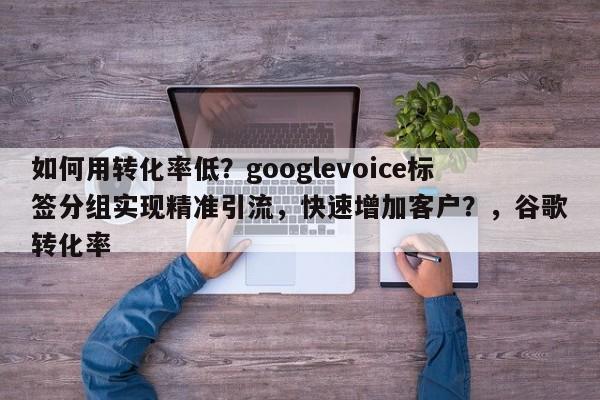 如何用转化率低？googlevoice标签分组实现精准引流，快速增加客户？，谷歌转化率