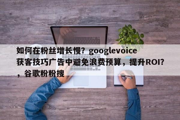 如何在粉丝增长慢？googlevoice获客技巧广告中避免浪费预算，提升ROI？，谷歌粉粉搜