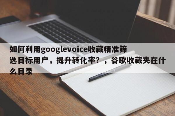 如何利用googlevoice收藏精准筛选目标用户，提升转化率？，谷歌收藏夹在什么目录