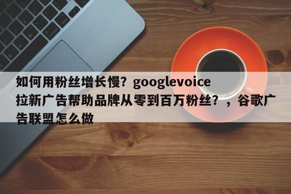如何用粉丝增长慢？googlevoice拉新广告帮助品牌从零到百万粉丝？，谷歌广告联盟怎么做