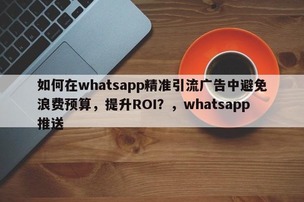 如何在whatsapp精准引流广告中避免浪费预算，提升ROI？，whatsapp推送