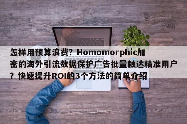 怎样用预算浪费？Homomorphic加密的海外引流数据保护广告批量触达精准用户？快速提升ROI的3个方法的简单介绍