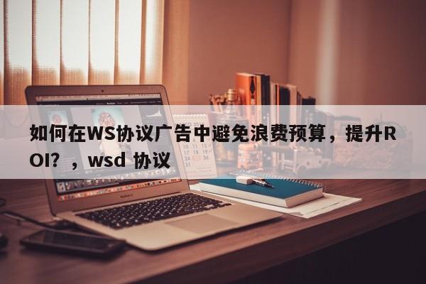 如何在WS协议广告中避免浪费预算，提升ROI？，wsd 协议