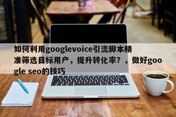 如何利用googlevoice引流脚本精准筛选目标用户，提升转化率？，做好google seo的技巧
