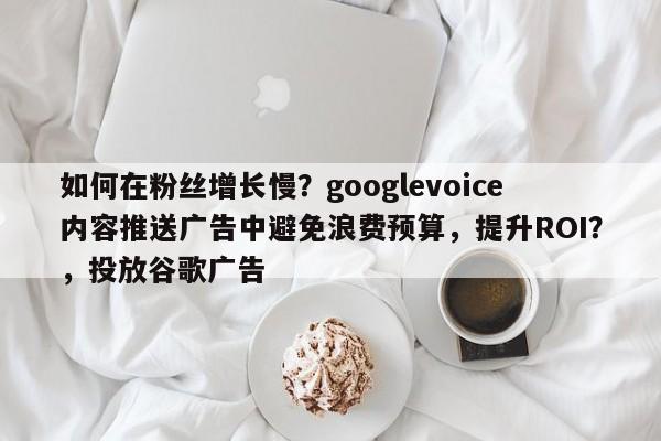 如何在粉丝增长慢？googlevoice内容推送广告中避免浪费预算，提升ROI？，投放谷歌广告