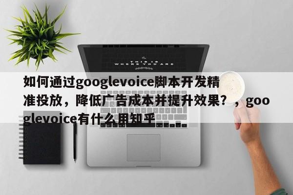 如何通过googlevoice脚本开发精准投放，降低广告成本并提升效果？，googlevoice有什么用知乎