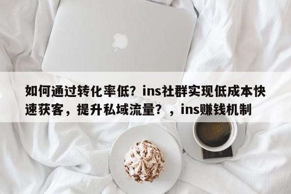如何通过转化率低？ins社群实现低成本快速获客，提升私域流量？，ins赚钱机制