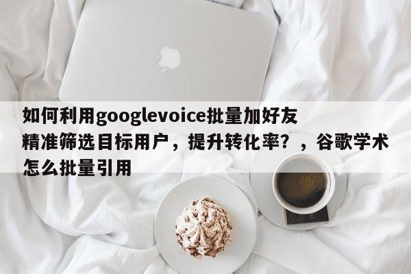如何利用googlevoice批量加好友精准筛选目标用户，提升转化率？，谷歌学术怎么批量引用