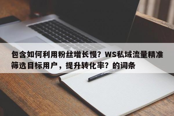 包含如何利用粉丝增长慢？WS私域流量精准筛选目标用户，提升转化率？的词条