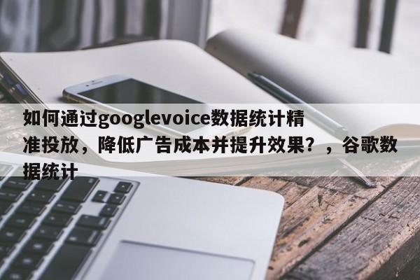 如何通过googlevoice数据统计精准投放，降低广告成本并提升效果？，谷歌数据统计
