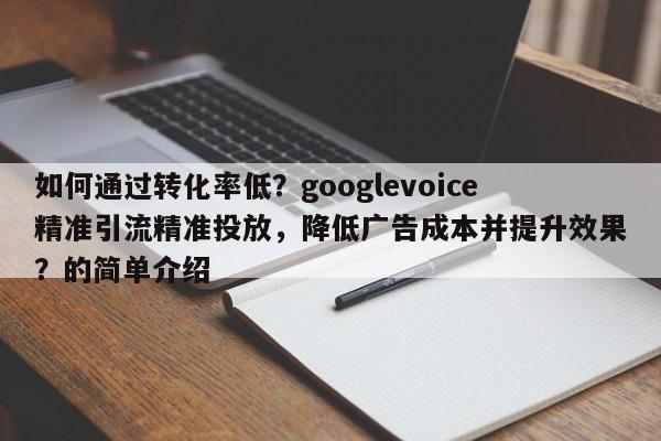 如何通过转化率低？googlevoice精准引流精准投放，降低广告成本并提升效果？的简单介绍